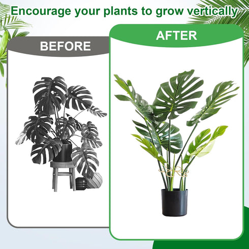 Mewcooss 6pcs Set Plant Stem Support, Iron Monstera Plants Support, Plant Stem Holder Support Unique Design Bamboo