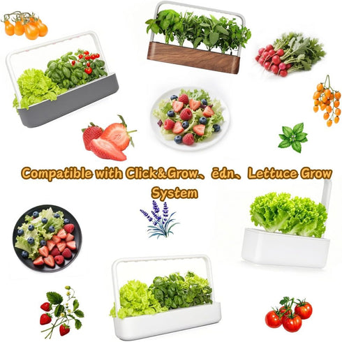 YDKYD 20pcs Grow Sponges, Seedless Replacement Seed Pods Compatible with Click and Grow Smart Garden, Refill Seed