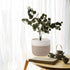Woven Cotton Rope Plant Basket for 8" Flower Pot - Small Storage Organizer (H7.5 x W8.5)