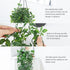Whonline Fake Hanging Plants, Artificial Small Potted Plants for Indoor Outdoor Aesthetic Decor - 1 Pack