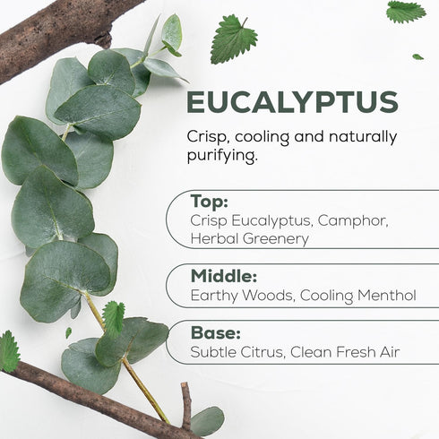 Country 100% (4 oz) Aroma Pure Eucalyptus Essential Oil Organic & Undiluted Diffuser Oil, Humidifier, Steam Room