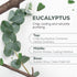Country 100% (4 oz) Aroma Pure Eucalyptus Essential Oil Organic & Undiluted Diffuser Oil, Humidifier, Steam Room