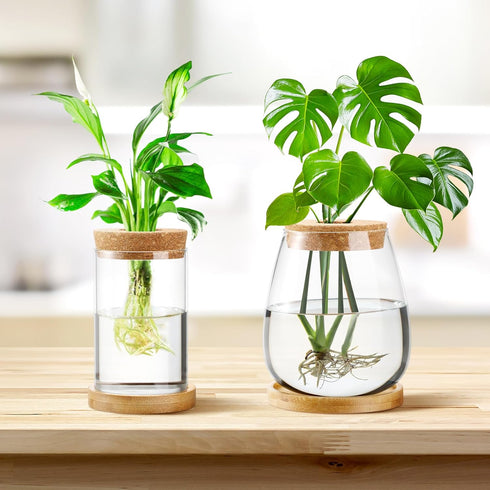 4 Layhit Pcs Plants Propagation Stations vases Glass Planters with Wooden Lid and Bamboo Stand for Hydroponic Plants