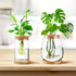 4 Layhit Pcs Plants Propagation Stations vases Glass Planters with Wooden Lid and Bamboo Stand for Hydroponic Plants