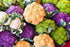 Harley Seeds 50 4 This is A Mix Cauliflower Mix Seeds Heirloom Non-GMO Varieties Purple Green Yellow Delicious