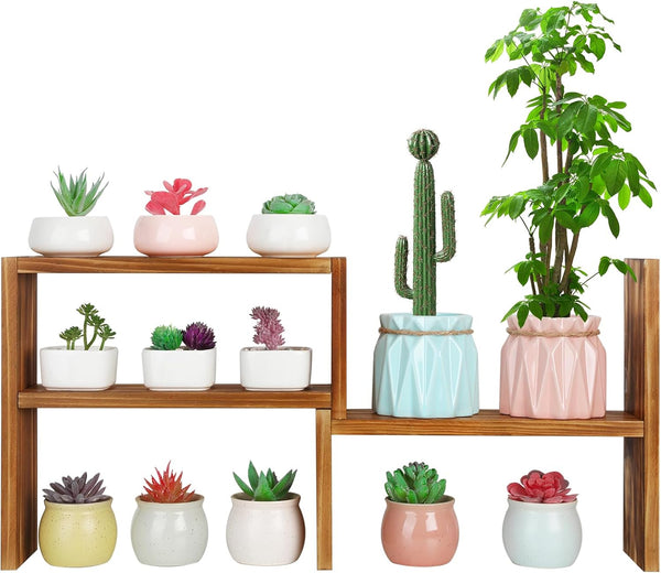 5 Tiered Small Window Plant Shelf,Wooden Desktop Plant Stand Indoor ,Table Top