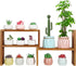 5 Tiered Small Window Plant Shelf,Wooden Desktop Plant Stand Indoor ,Table Top