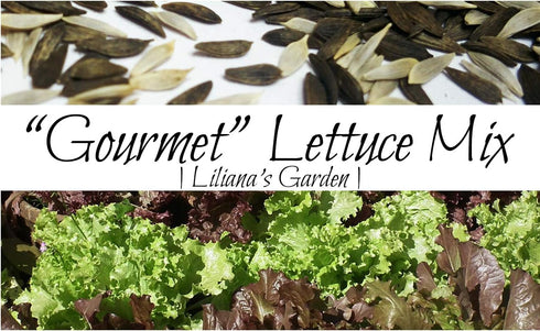 Liliana's Garden Gourmet Lettuce Mix Seeds 8+ Varieties Fast-Growing, Decorative and Delicious Lettuce Harvest