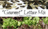 Liliana's Garden Gourmet Lettuce Mix Seeds 8+ Varieties Fast-Growing, Decorative and Delicious Lettuce Harvest