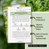 Packet (1) Sow Right Seeds - Greenwave Mustard Greens Seed for Planting - Non-GMO Heirloom with Instructions to Plant