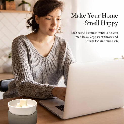 Hand Poured Scented Soy Wax Melts for Home Fragrance, Assorted Aromas by The Rustic House, Aromatherapy (Cactus Bloom)