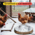 5 Waterer,13 Inches H&G lifestyles Chicken Water Heater, Heated Chicken Waterer,Poultry Water Heater for Winter