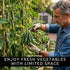 10+ Mini Me Cucumber Seeds for Planting Premium Mini Vegetable Garden Seeds High-Yield Compact Cucumbers