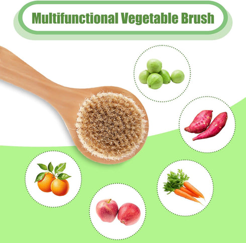 PEUTIER 7.87x3.15 Inch Vegetable Brush, Wood Potato Scrubber with Long Ergonomic Handle Fruit Scrub Brush Carrot Brush