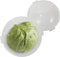 Trenton Gifts Lettuce and Vegetable Storage Keeper - 7" x 8"