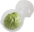 Trenton Gifts Lettuce and Vegetable Storage Keeper - 7" x 8"