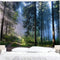BJYHIYH Misty Forest Tapestry Wall Hanging - Nature Landscape Tapestry Sunshine Through Trees for Bedroom Decor