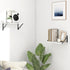 16W 8D Set 2, Fun Memories Deep Floating Shelves for Wall, x Wall Mounted Shelves of Wide Display Ledge Shelf