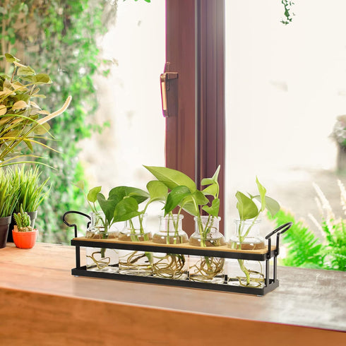 5 THYGIFTREE Plant Propagation Stations with Metal Stand, Tabletop Plant Terrarium for Propagating Hydroponic, Retro