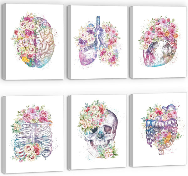 CHDITB Medical Anatomical Art Set 6(8x10) Vintage Gothic Human Anatomy Poster, Biology