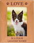 CustomGiftsNow Love Is A Four Legged Word Alder Wood Picture Frame - Great Gift for Dog Lovers (4x6 Vertical)