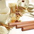 Wooden Rolling Pin for Baking - Professional Dough Roller, 15-3/4 Inch Beech Wood for Pizza and Cookies