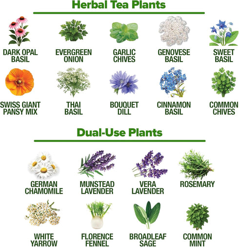 32 Pack HOME GROWN Herb Seeds Medicinal Herbs and Tea Variety Annual & Perennial Herb Seeds for Planting Indoors