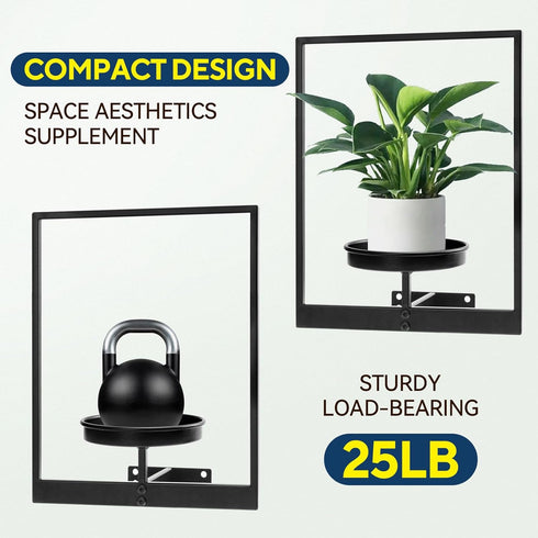 TECKED 3 Pack Black Metal Indoor Window Plant Shelves Hanging Plant Shelves Picture Frame Outdoor Plant Rack for Indoor