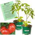 Clovers Garden Goliath Tomato Plant Two (2) Live Plants Not Seeds Each