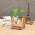 1 Kingbuy Terrarium with Wooden Stand, Desktop Propagation Station, Air Plant Holder, Metal Swivel Holder