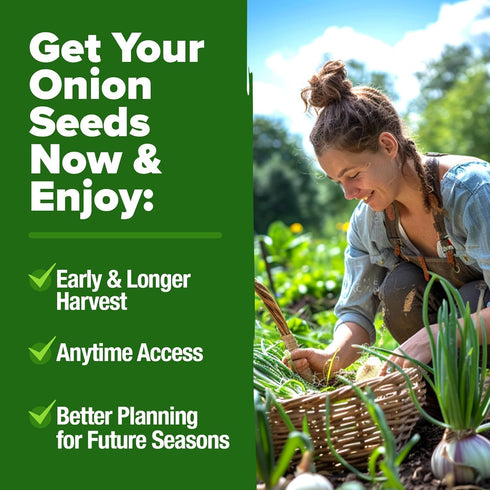 8 1600+ Bulb HOME GROWN Onion Variety Mix Heirloom Non-GMO Seeds for Planting, High Germination, Red, Yellow, White