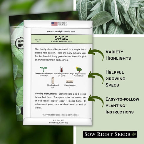 Packet (1) Sow Right Seeds - Sage Seeds for Planting - Non-GMO Heirloom with Instructions to Plant and Grow Kitchen