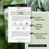 Packet (1) Sow Right Seeds - Sage Seeds for Planting - Non-GMO Heirloom with Instructions to Plant and Grow Kitchen