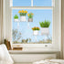6" 2 Pack, 38 15 cm/15.2x6 Lifewit Extra Wide & Strong Window Plant Floating Shelves Heavy Duty Acrylic Suction Cup