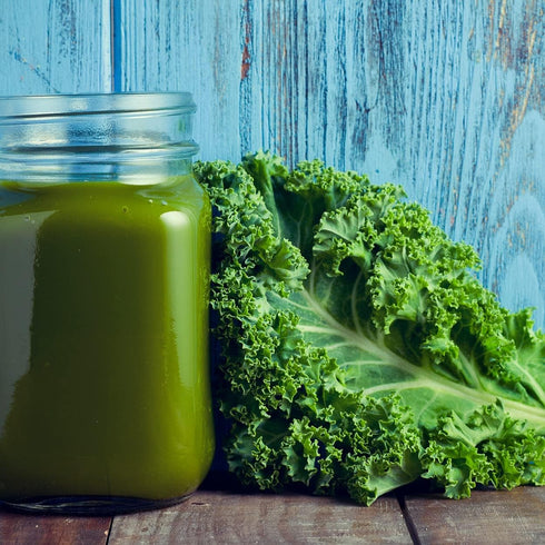 Purely Organic Products LLC 500 Organic Kale Seeds (Vates Blue Scotch Curled) - Approx Seeds - USDA Organic, Non-GMO