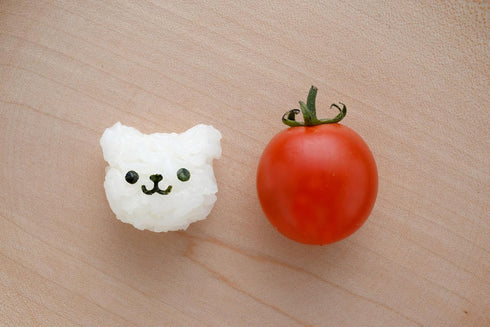 Animal Rice Mold Set Cute Animal Shapes, DIY Bento Lunch Decoration Tool, Japanese Kitchen Accessory