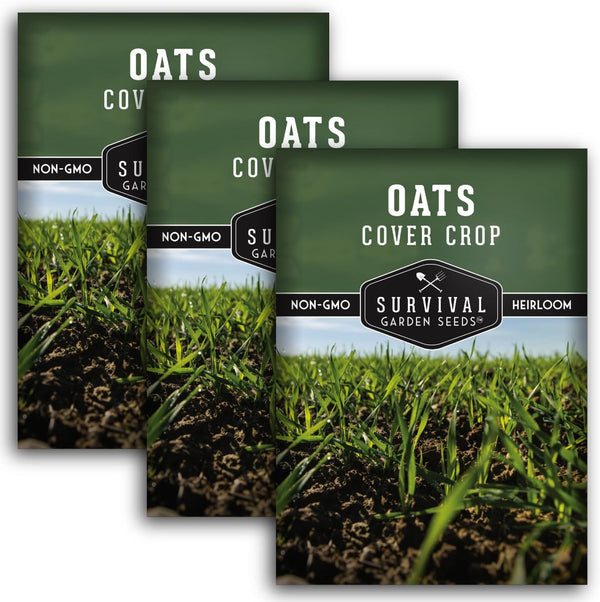 Survival Garden Seeds Oats Cover Crop Seed for Planting - 3 Packets