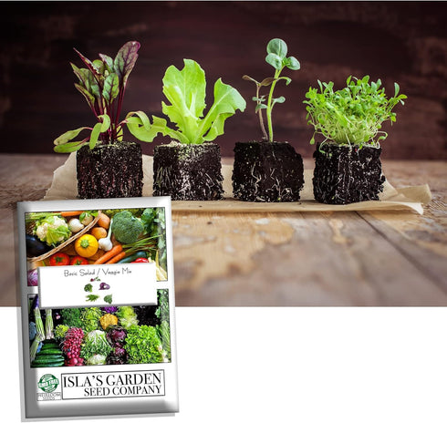 500+ Packet, 5 Basic Salad Mix Veggie/Lettuce Seeds, Heirloom Seeds Per Non GMO Seeds, (Isla's Garden Seeds), Mix