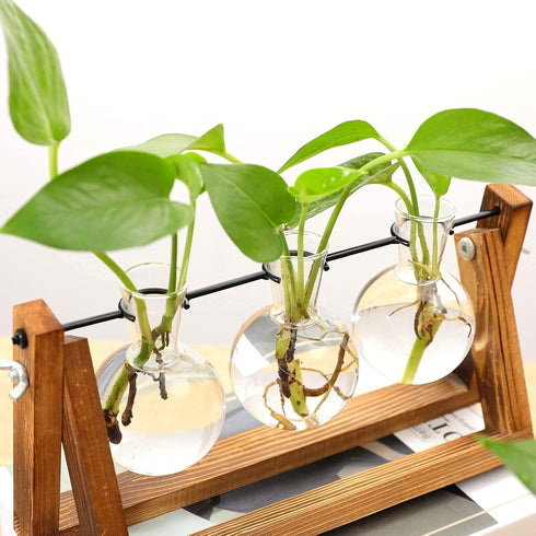 3 Bulb Kingbuy Desktop Glass Planter Iron and Wooden Stand Plant Terrariums for Indoor Office Desk Decor Accessories