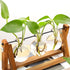 3 Bulb Kingbuy Desktop Glass Planter Iron and Wooden Stand Plant Terrariums for Indoor Office Desk Decor Accessories