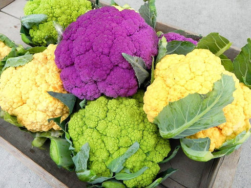 Harley Seeds 50 4 This is A Mix Cauliflower Mix Seeds Heirloom Non-GMO Varieties Purple Green Yellow Delicious