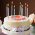 Luter Metallic Long Birthday Candles with Silver Stand - Cake Candles for Wedding Birthday Party Decoration (24 Pieces)