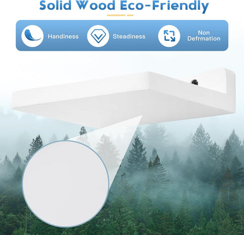 5x6 Inch (6, Small Floating Shelf, Display Ledges for Wall,Mini Shelves,Rustic Wood Shelf for Bedroom Living Room