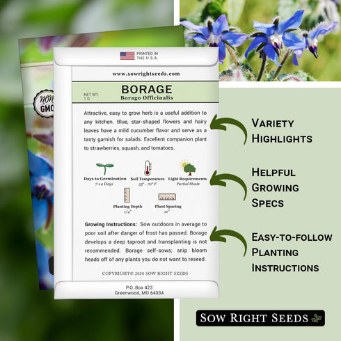 (1) Sow Right Seeds - Borage Seed to Plant - Non-GMO Heirloom Seeds - Full Instructions for Easy Planting and Growing a
