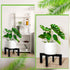 2 Pack 16 Inch 8-18 Inch Wenqik Wood Plant Stand Wooden Plant Pot Holder Mid Century Rattan Flower Boho Rustic Stool