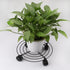 5 Pack 10.6 Inch Metal Plant Caddy with wheels, Heavy Duty Plant Dolly for Indoor and Outdoor Large Potted Plants