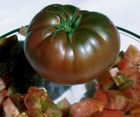 SEEDS4PLANTING Seeds Tomato Black Prince Giant Heirloom Vegetable Non GMO