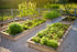 500+ Packet, 5 Basic Salad Mix Veggie/Lettuce Seeds, Heirloom Seeds Per Non GMO Seeds, (Isla's Garden Seeds), Mix