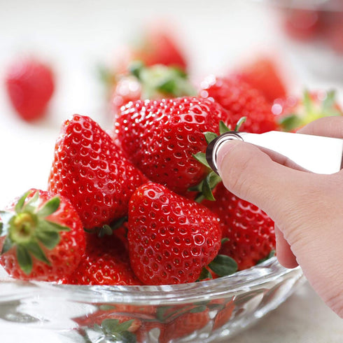 DOITOOL 3pcs Stainless Steel Fruit Removal Tools - Strawberry and Pineapple Peeler for Easy Kitchen Cleaning