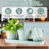 2 Sets Set Wenqik Herb Garden Planter Pot with Tray Metal Windowsill Plant Pot with Drainage Farmhouse Decorative Live
